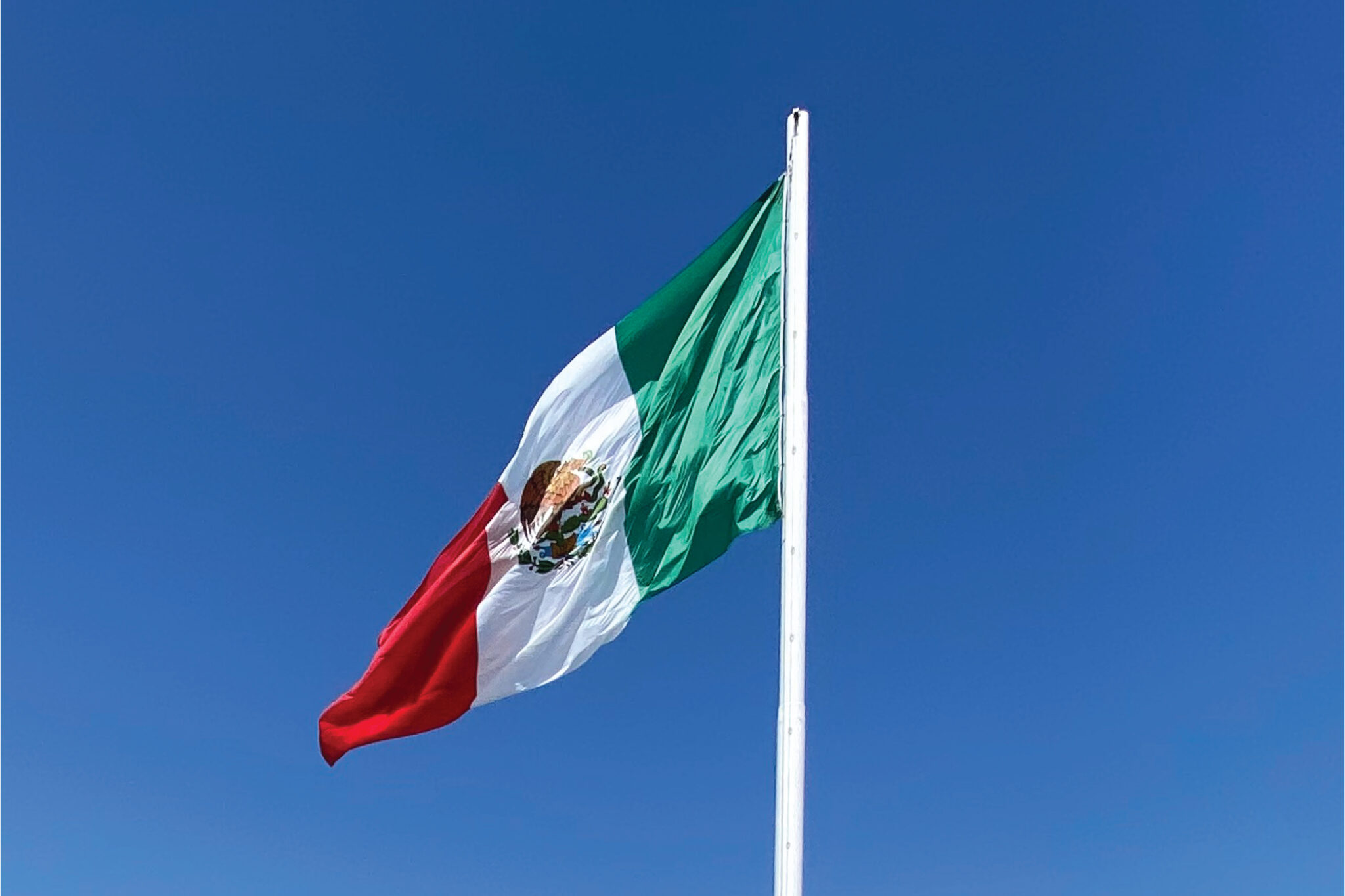 03_MX