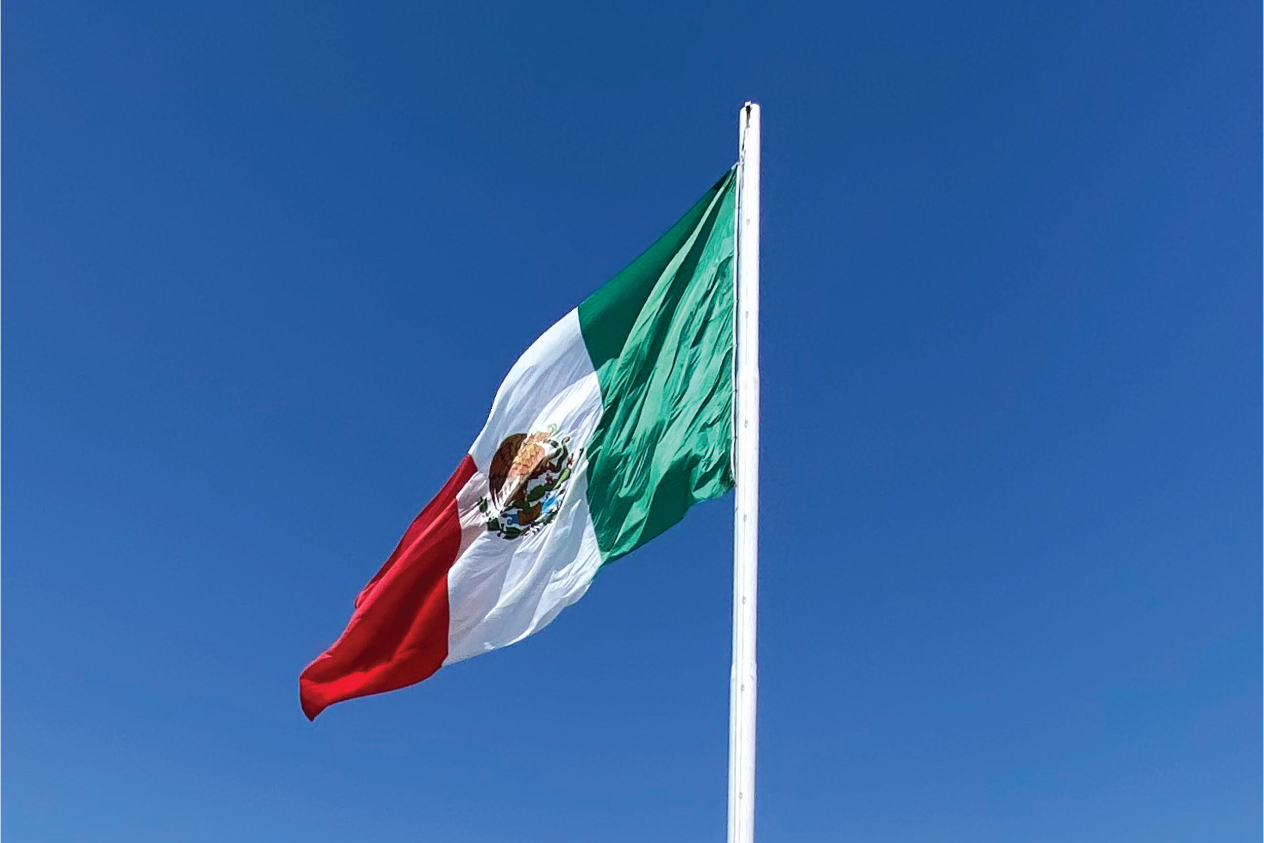 03_MX