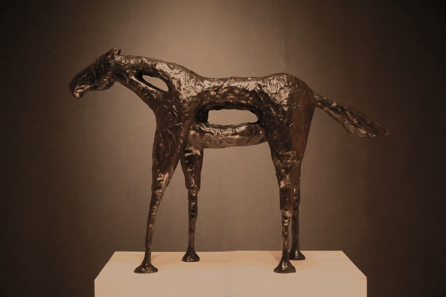 Caballo Arroyo